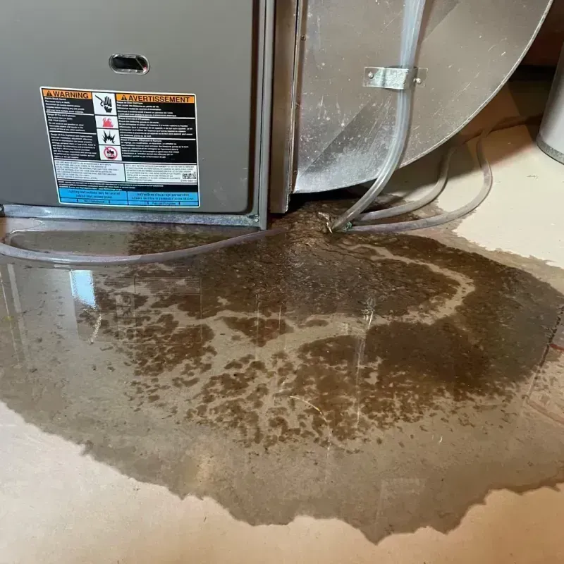 Appliance Leak Cleanup in Morris Plains, NJ